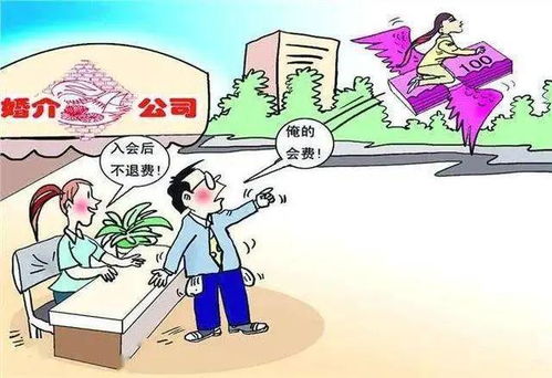 婚介服務(wù)期已過，脫單未成費用能退嗎？法院判決揭示關(guān)鍵