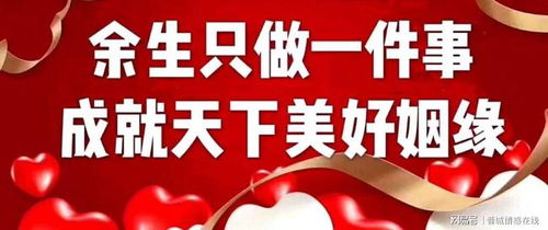 晉城婚戀新風尚 初心如“香水百合”，專業(yè)婚介成就美滿姻緣